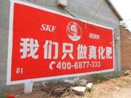 宁都刷墙广告”蕴含了时代命题