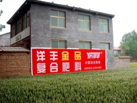宁都如何让墙体广告展现最大化效果