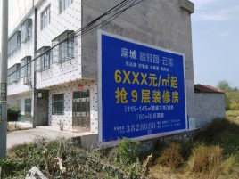 宁都墙体广告质量分析