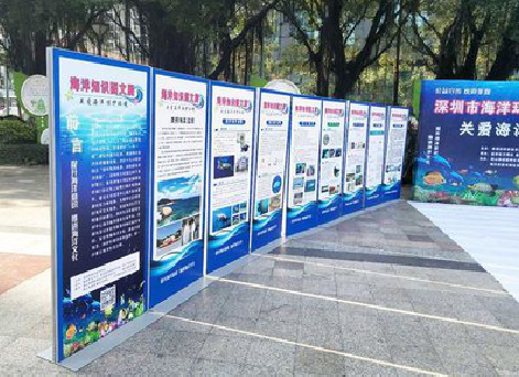 宁都KT板的种类和知识。